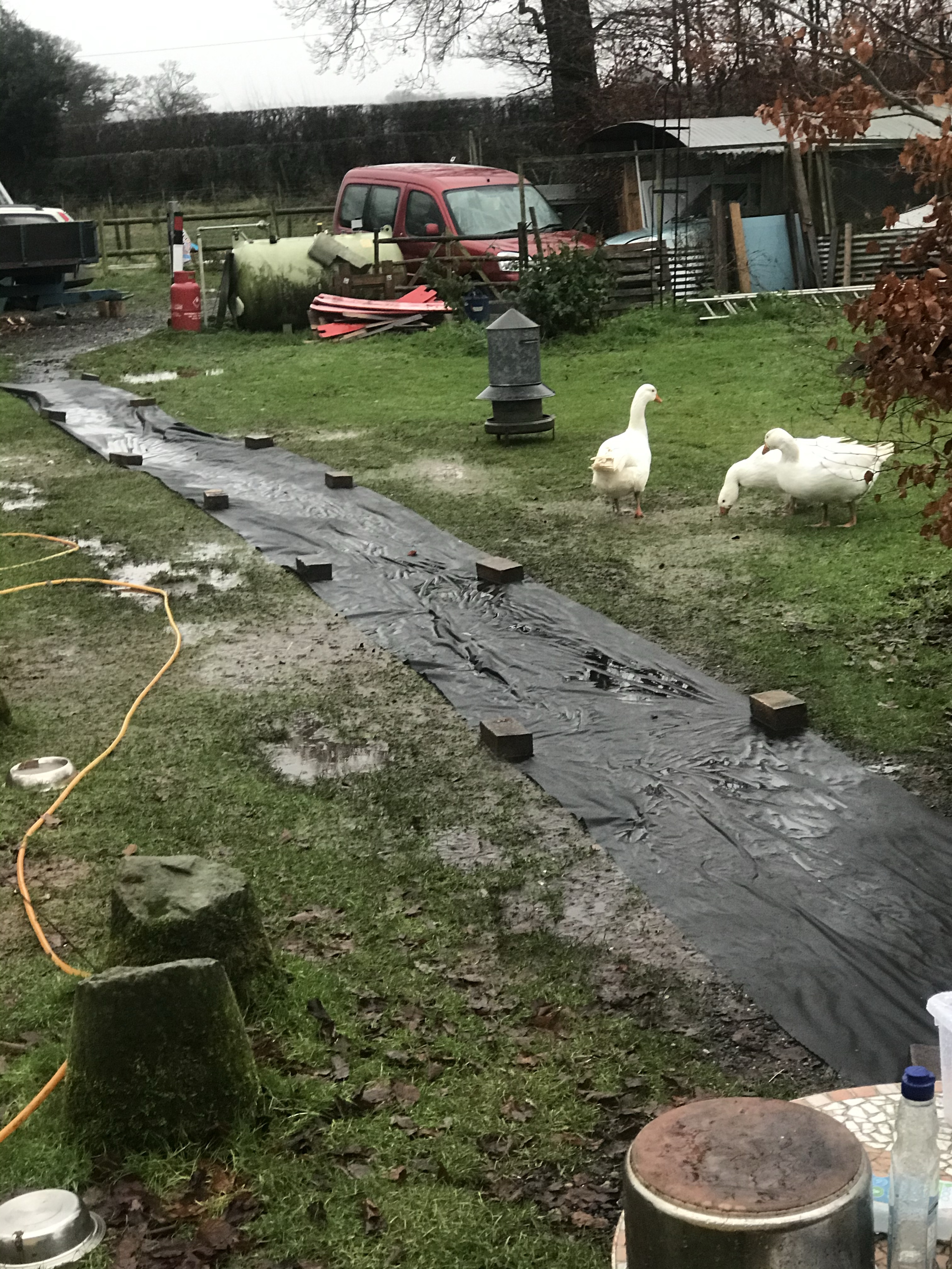 The Ark our new place